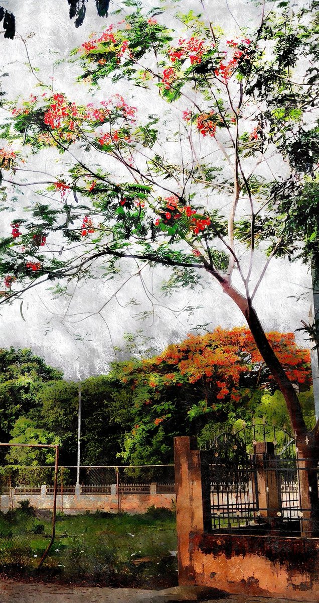 Mukilarasan6's tweet photo. "Colors are the smiles of nature"💙💚💛
#Oneplus7T #Oneplusgallery #Pixlr
#Annamalaiuniversity https://t.co/koGJ7H5ZIZ