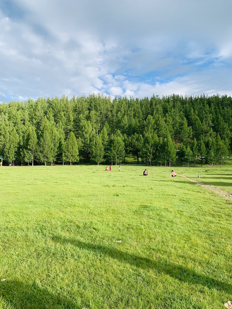 Munkhzul (@munkhzul01) on Twitter photo 