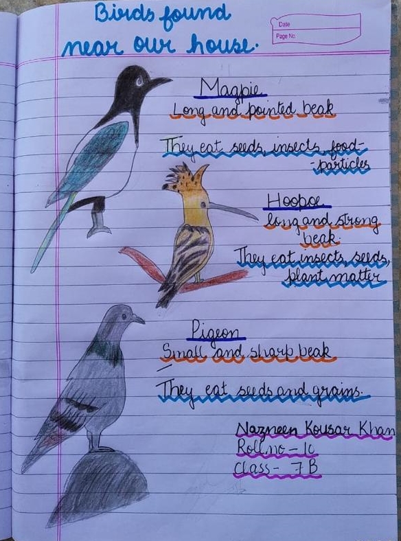 snowleopards's tweet photo. Our teams in Kyrgyzstan, Mongolia, and India are guiding kids through at-home #learning activities like collecting info on nearby plants and birds and describing local #ecosystems. Developing these at-home resources will expand our outreach with children and schools year-round. https://t.co/5vkIU8n3RZ