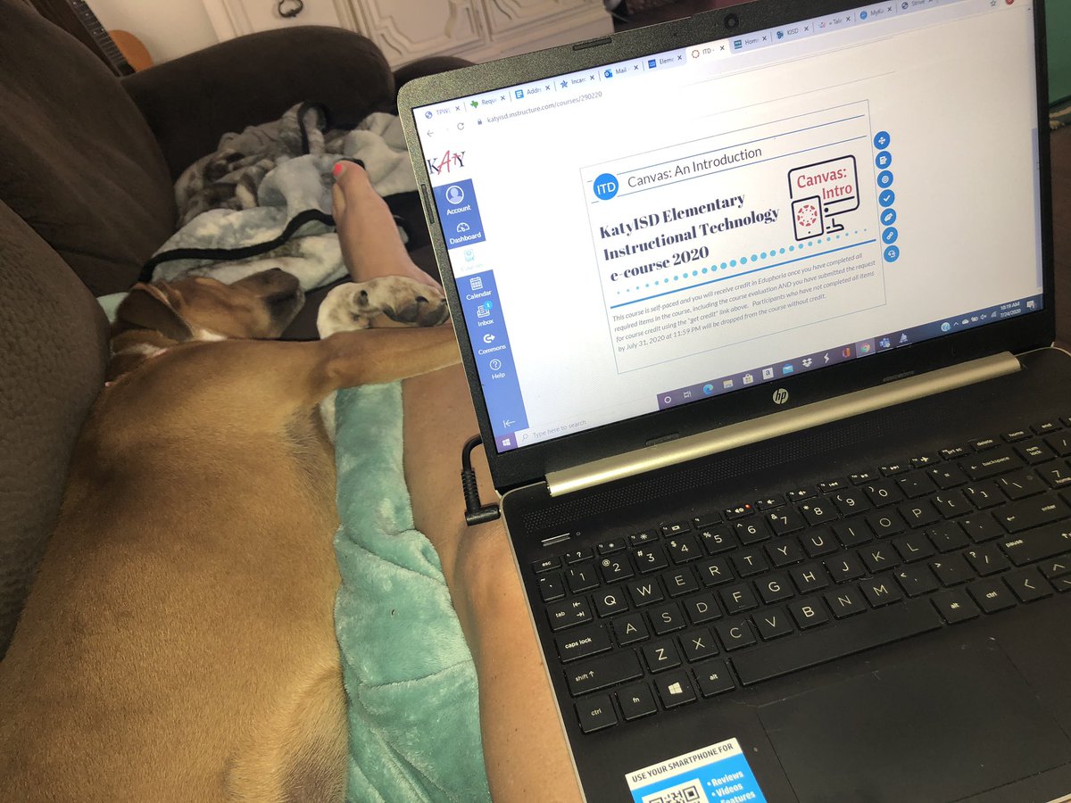Doing a little Professional Development today! Ellie was supposed to be helping me, but she’s fallen asleep on the job. #PDSelfie #USESummer #StallionsDeserveIt