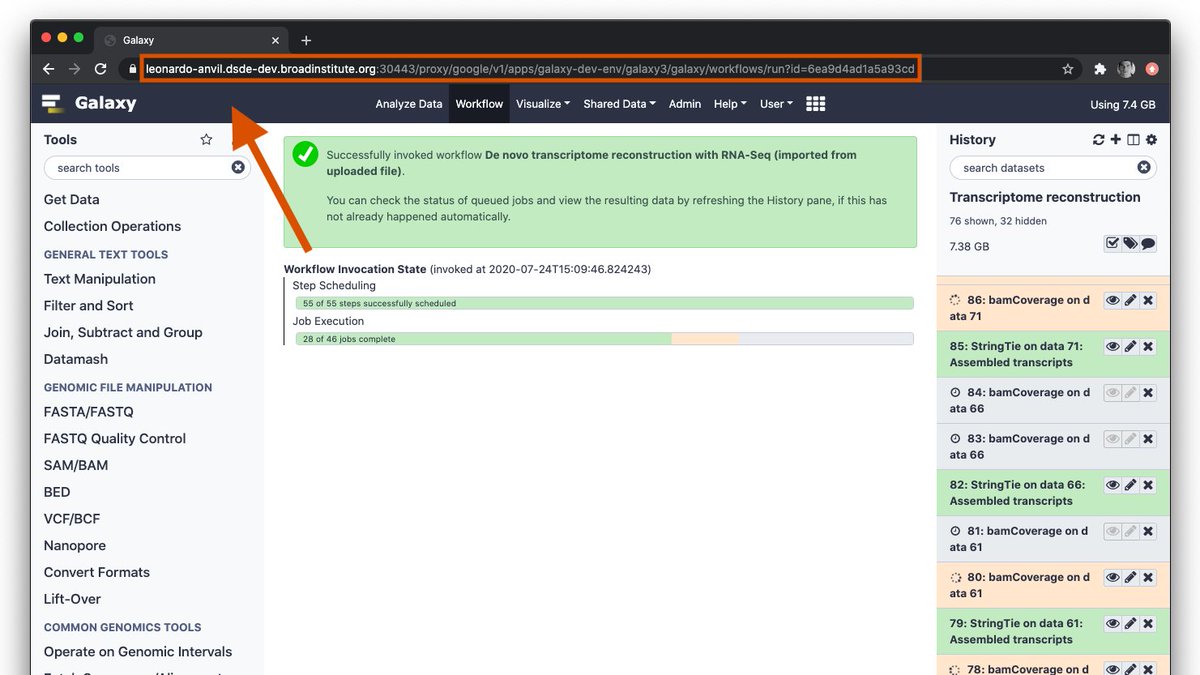 Enis Afgan tweet media