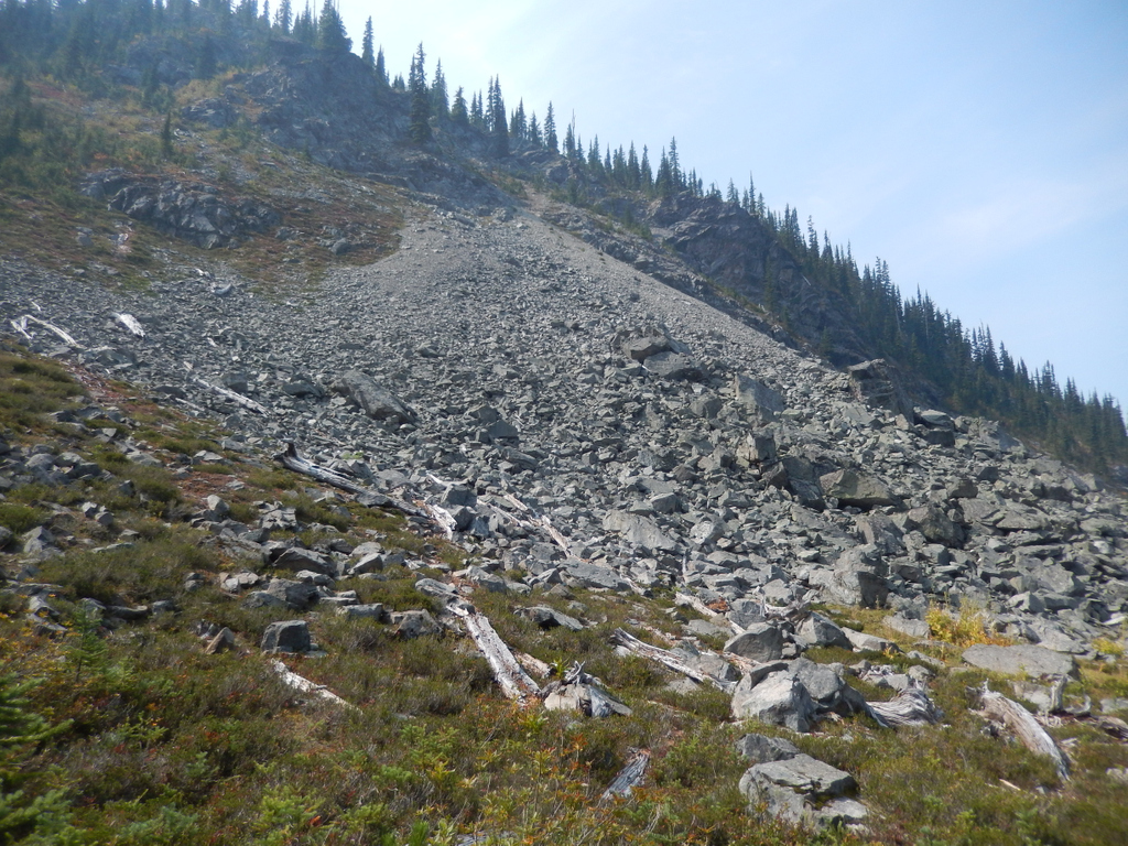 Hiker_Steve's tweet photo. This week I'll be showcasing Heather Trail, Manning Park, BC
#beautifulbc #explorebc #britishcolumbia #hellobc #bc #vancouvercanada #travelbc #vancouverbc #explorecanada #sharebc #outdoorvancouver #604now #westcoastbestcoast
#Vancouvertrails https://t.co/zU7eYqQqGu