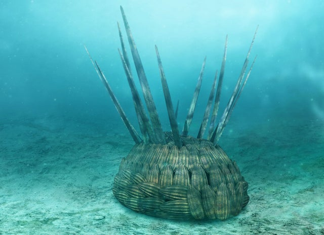 JanFreedman's tweet photo. Wiwaxia is one of my favourite weird prehistoric animals! It is found during the 'Cambrian Explosion'. Around 540 million years ago, we find a massive variety of life suddenly in the fossil record. #FossilFriday 
(Photo: Martin Smith; Art: Andrew Kerr) https://t.co/bkZYqC65ar