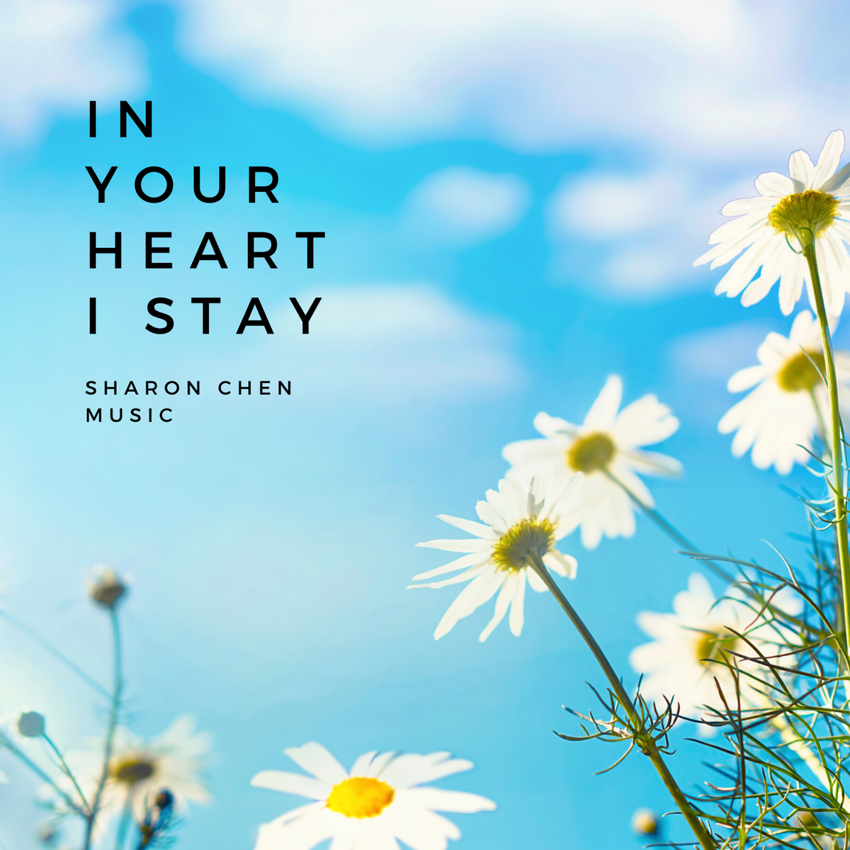 SharonEChen's tweet photo. #HappyFriday
#NewRelease
#NewAgeClassical
#PopClassical
#NowPlaying 🌼 In Your Heart I Stay 🌼 (Piano, String Orchestra)
#SoundCloud ▶️ https://t.co/z5RrUI2tF9
#BandCamp ▶️ https://t.co/Gf771MHGSV https://t.co/1JXMD6hqZr