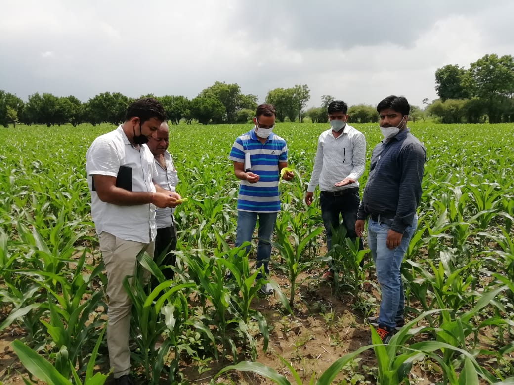 Arvindp009529's tweet photo. Inspection of fall army worms in maize crops with rapid roing survey team kota
AAO raipur https://t.co/IzCzaJxeSZ