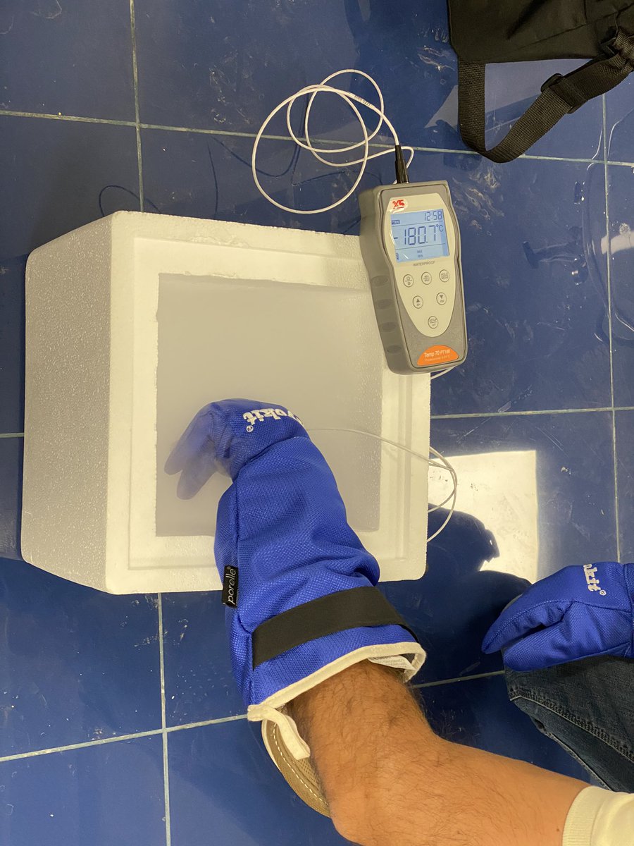 Nuestro técnico en acción #calibraciones #nitrógeno #criopreservacion