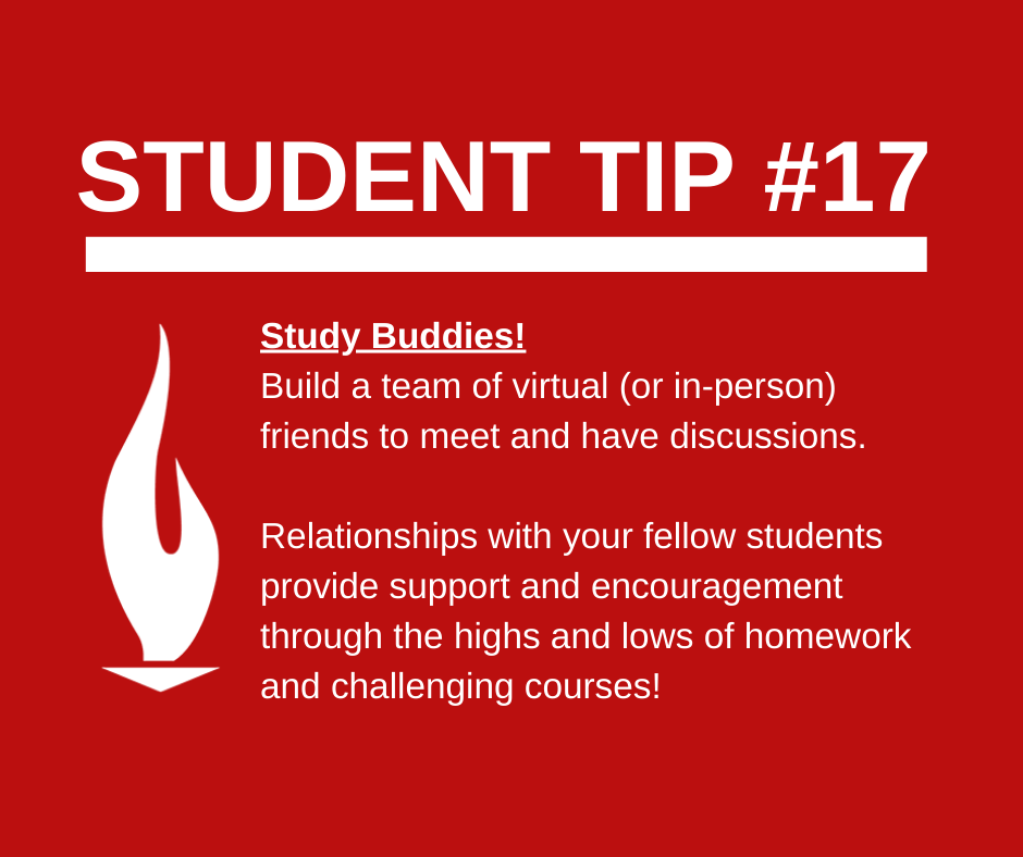 ConcordeCareer's tweet photo. Connecting with fellow students is a great way to maximize your learning potential while creating relationships. Being open-minded to other perspectives can expand your knowledge in ways you didn’t think possible. We encourage you to build your network of friends! #ConcordeWorks https://t.co/NjijPftYCf