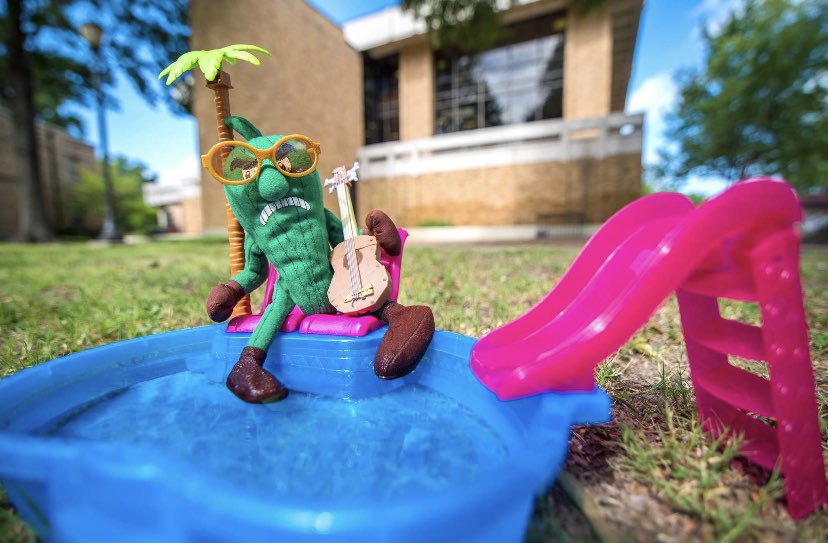 DSU_Alumni's tweet photo. Weekend ready on this Green Friday☀️ @presidentDSU @DeltaState #DSUFamily #deltastateofmind #unitedingreen #SocialDistancing https://t.co/twyrCSiJMC