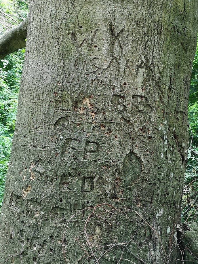 to the Empire in her hour of need. They were encamped in their thousands at the foot of the Wiltshire Downs, in Compton Chamberlayne & the adjoining parishes, & many a strong man's thoughts as he sauntered through the silent woods...must have turned to his dear ones,