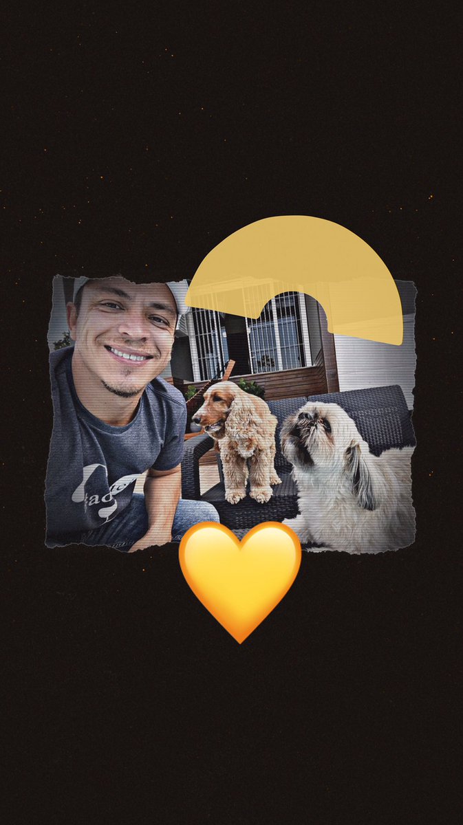 missmhickaella's tweet photo. #mhickaellacomendador #puppylove #mansbestfriend #horseofinstagram #doglover #horseloved #instapet #lovelypet https://t.co/cli0eXAvzS