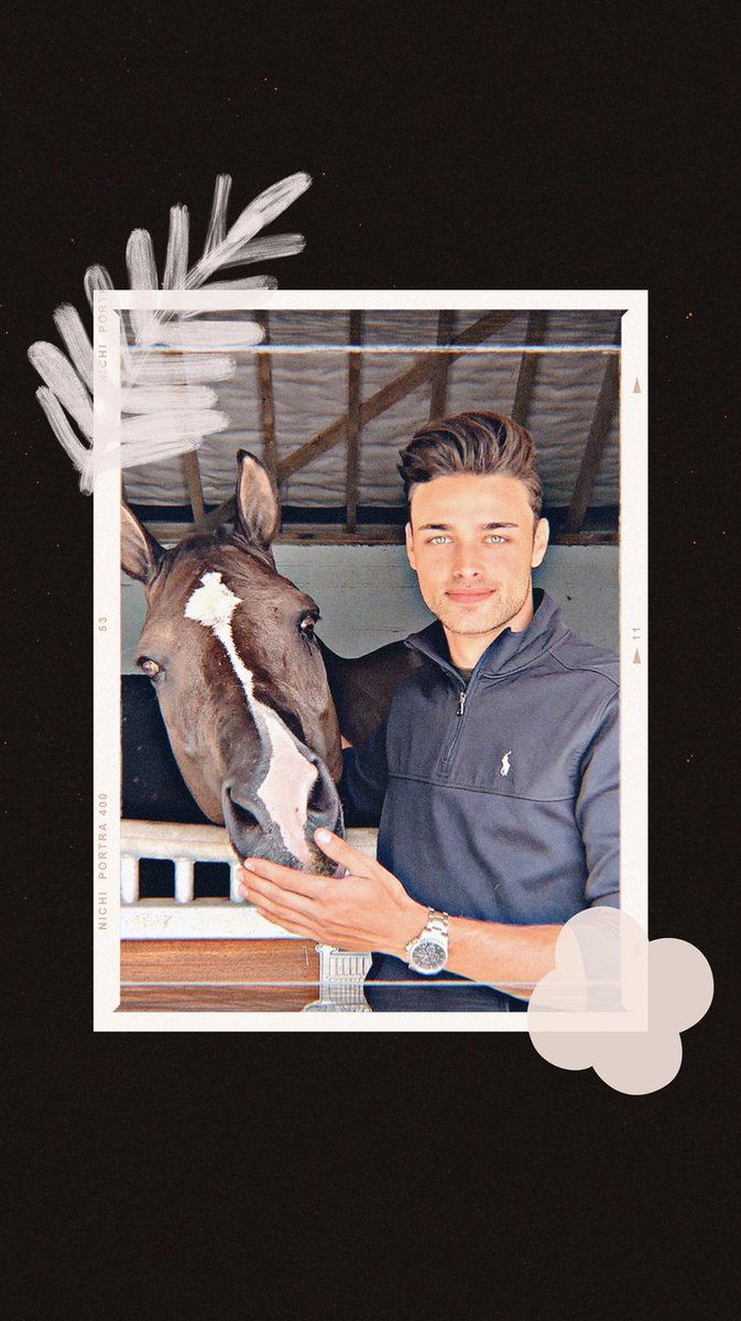 missmhickaella's tweet photo. #mhickaellacomendador #puppylove #mansbestfriend #horseofinstagram #doglover #horseloved #instapet #lovelypet https://t.co/cli0eXAvzS