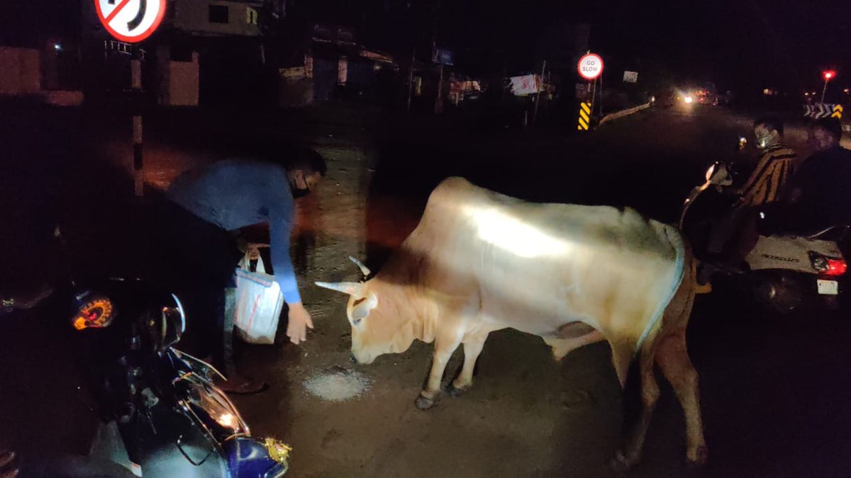 teamsevasft's tweet photo. #3rd_Week
#Divya_Aadhaar
#Protection_to_Animals
#CONCERN_FOR_STRAY_ANIMALS_BY_SEVA_SOCIAL_FOUNDATION_TRUST
(Cows and Bulls are labelled with glow stickers in Bhubaneswar)BBSR-23.07.2020
@BehuraGitanjali @SadasibaParida2 @cgblooddonor @Uditsahuodisha @sadasiba2013
#Team_Seva https://t.co/8EaGCIIC9F
