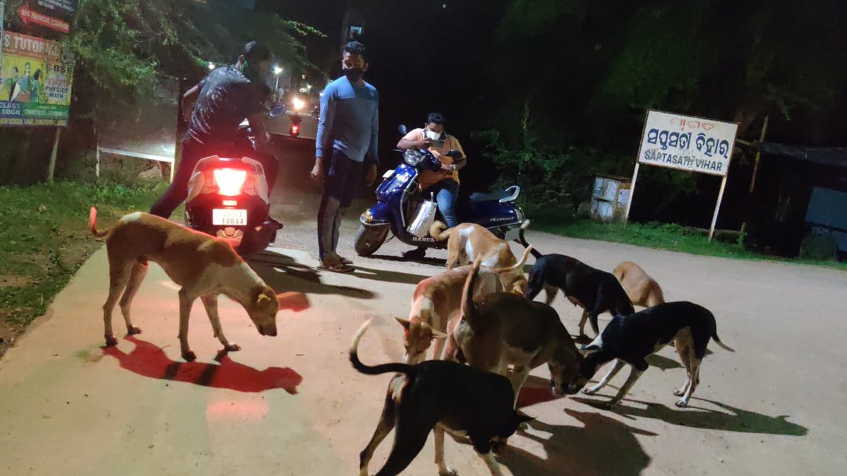 teamsevasft's tweet photo. #3rd_Week
#Divya_Aadhaar
#Protection_to_Animals
#CONCERN_FOR_STRAY_ANIMALS_BY_SEVA_SOCIAL_FOUNDATION_TRUST
(Cows and Bulls are labelled with glow stickers in Bhubaneswar)BBSR-23.07.2020
@BehuraGitanjali @SadasibaParida2 @cgblooddonor @Uditsahuodisha @sadasiba2013
#Team_Seva https://t.co/8EaGCIIC9F