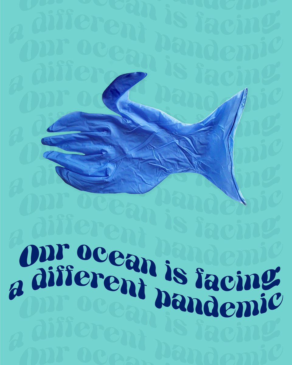 mcsuk's tweet image. Designers @Charandholl are raising awareness of the environmental impact of single-use #PPE items when not disposed of correctly with these striking visuals.

Please remember to properly dispose of your PPE 🙏