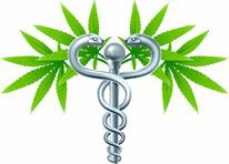 HanfHeiltNet's tweet photo. Da uns immer wieder Anfragen erreichen: Den Patientenberater Hans Grewe erreichen Sie via Facebook (https://t.co/rcrQmlmmF4) oder seine Website (https://t.co/pwkAs8Je6q).
#Cannabis #HanfHeilt #Legalize #LegalizeIt #HansGrewe #CannabisVollextrakt #Vollspektum #RSO#RickSimpsonOel https://t.co/6aeZz3JTMn