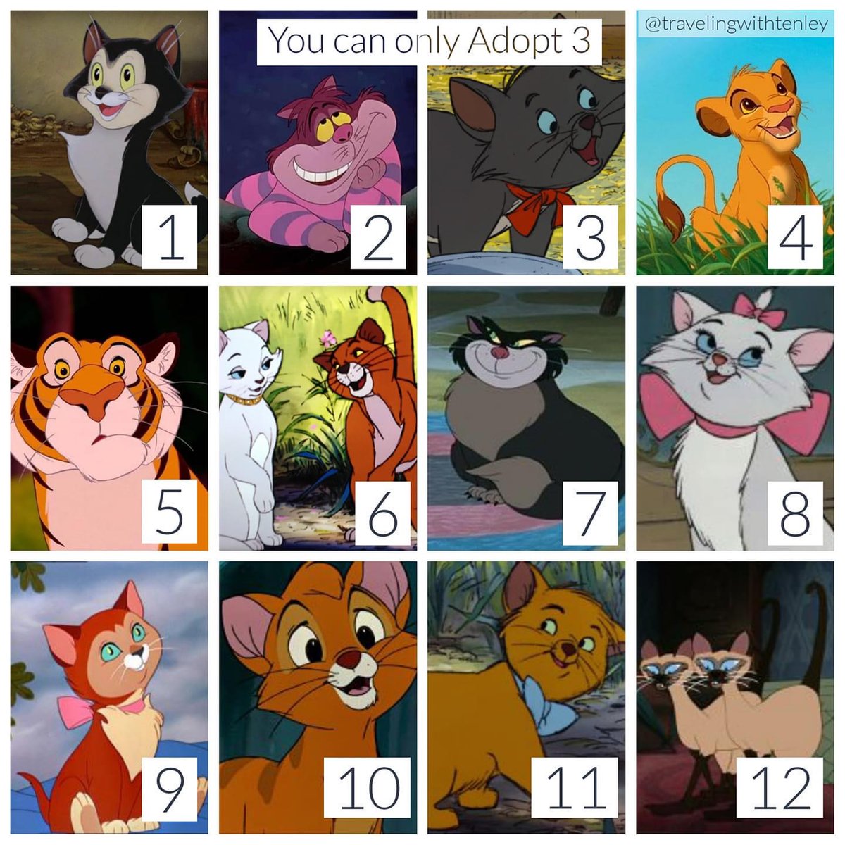DisMomKnows's tweet photo. You can only pick 3. Who are you adopting? https://t.co/fcMxF2EAWn