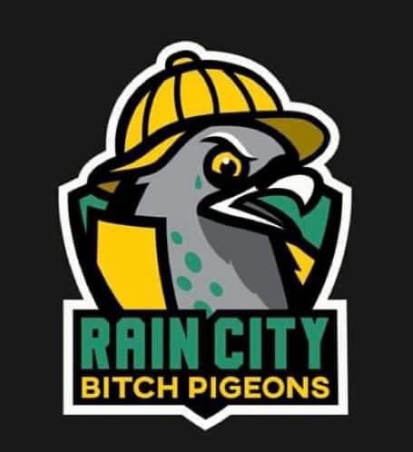 ChrisBrandon17's tweet photo. @JacobDeveral They should've went with this for the Seattle NHL Team https://t.co/IRkjfGT4F7