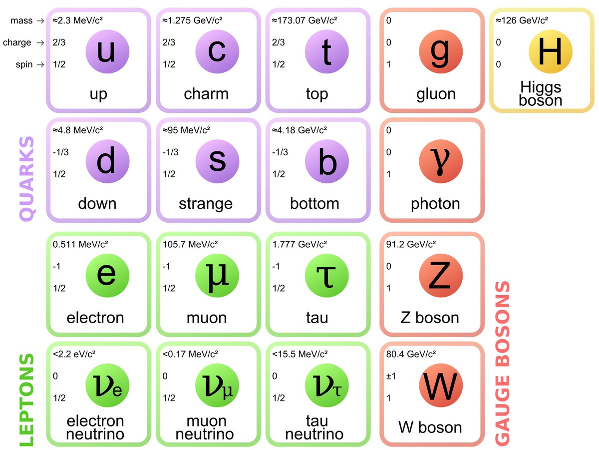 Ok, that's all the Standard Model particles! Which is your favourite? 