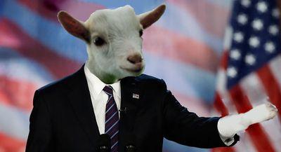 technotic_us's tweet photo. @ar4v3n It's still listed on my LinkedIn. 😅😅 And my pinned tweet. #rootgoat2020 https://t.co/NNUhIiDVfQ