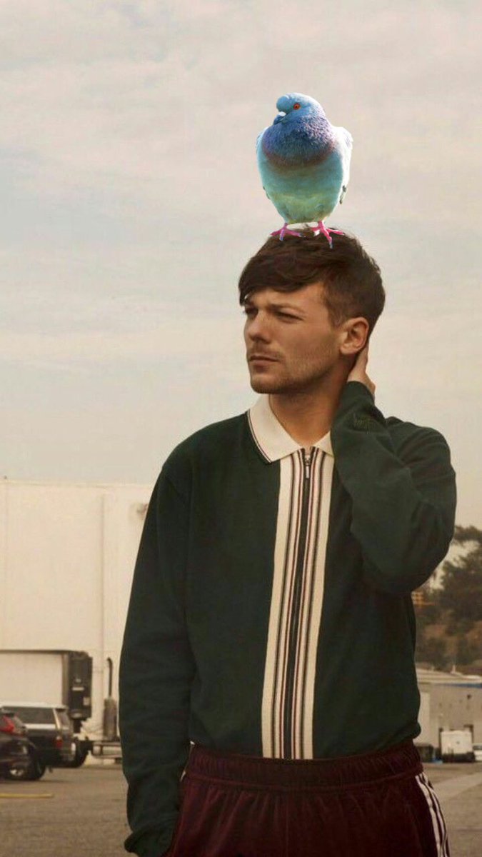 eleonorasworld's tweet image. 🅰️🅾️ LA PARTE PIÙ BELLA  DEL VIDEO DI INFINITY È QUANDO KEVIN CAGA IN TESTA A LOUIS HO PERSO UN POLMONE HAHAHA

#10YearsOneOfDirection #InfinityMusicVideo #InfinityMV #InfinityLeaked