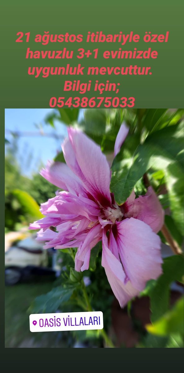 #BeautyOfTheDay #Nikon #Turkiye #photooftheday #nofilter #GardenersWorld #Flowers #Booking #fethiye #Holiday #summer #Turkey #Turkish #green #HOLIDAYchallenge #Covid_19 #hayirlicumalar #Villa #apartment #TwitterYıldoenuemuem