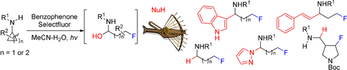 Angewandte Chemie tweet media