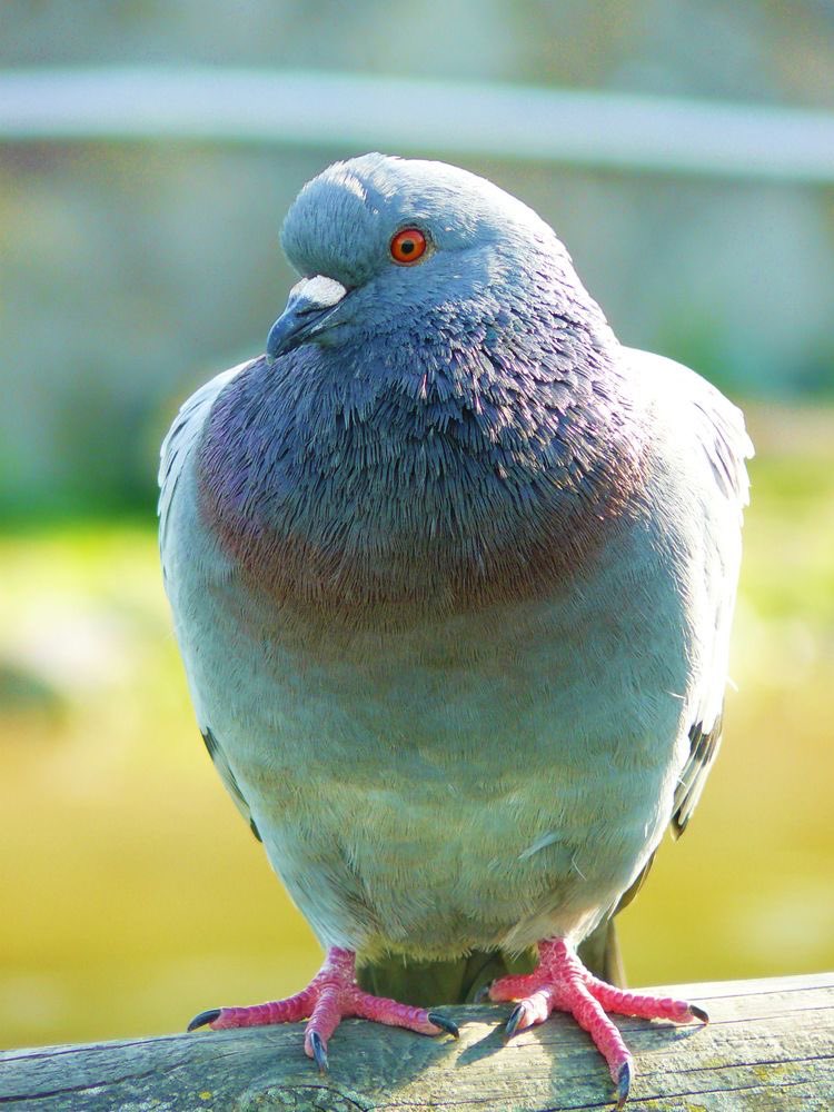 eleonorasworld's tweet image. Il primo piano su Kevin mi ha emozionata 🥺
Questo video dimostra come certe amicizie resistono a distanza di molti anni

#10YearsOneOfDirection #InfinityMusicVideo #InfinityMV #InfinityLeaked