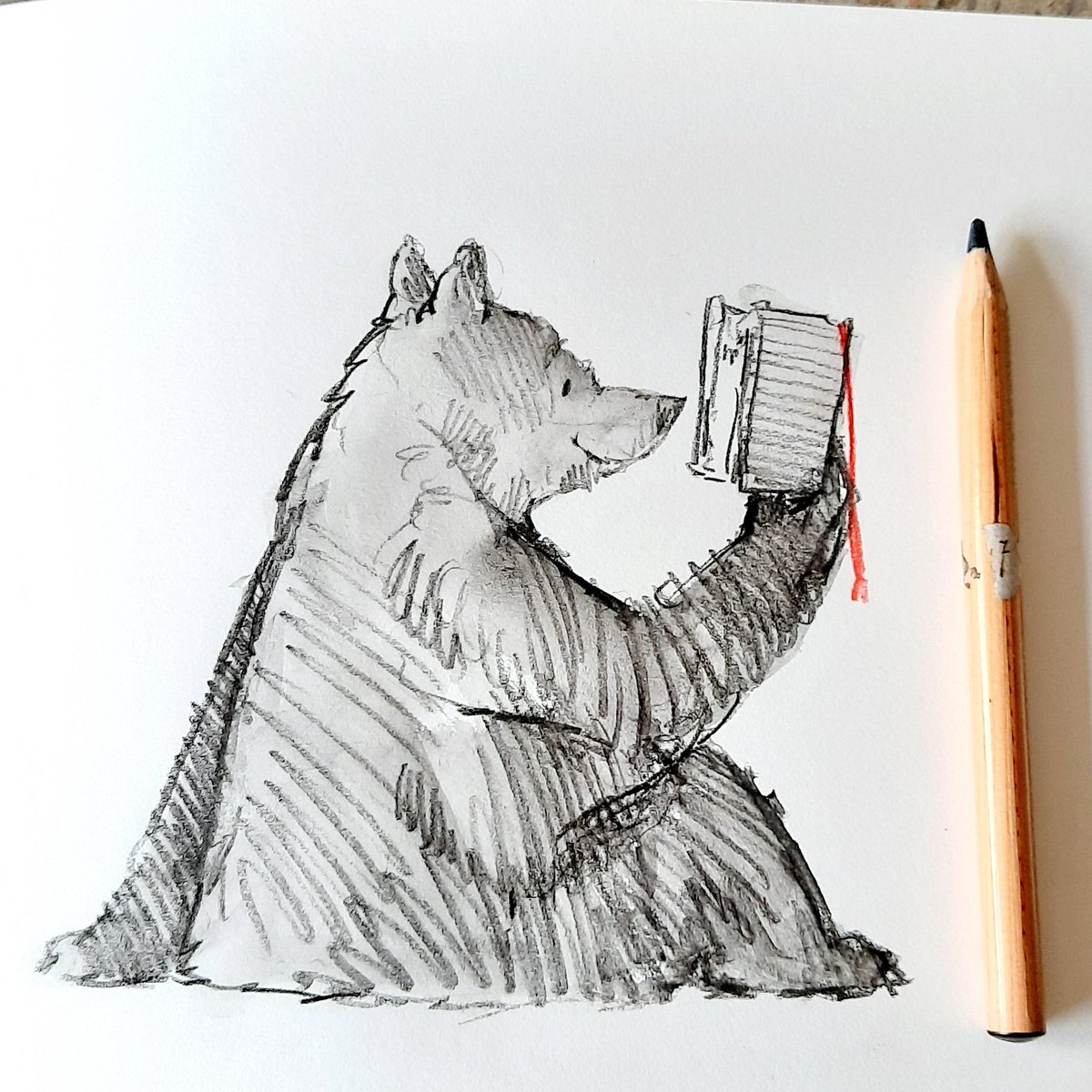 iaindwelch's tweet photo. I hope that you are having a lovely Friday everyone. 
#readingbear #goodbook #sketchbook https://t.co/SIVoRuTw6h