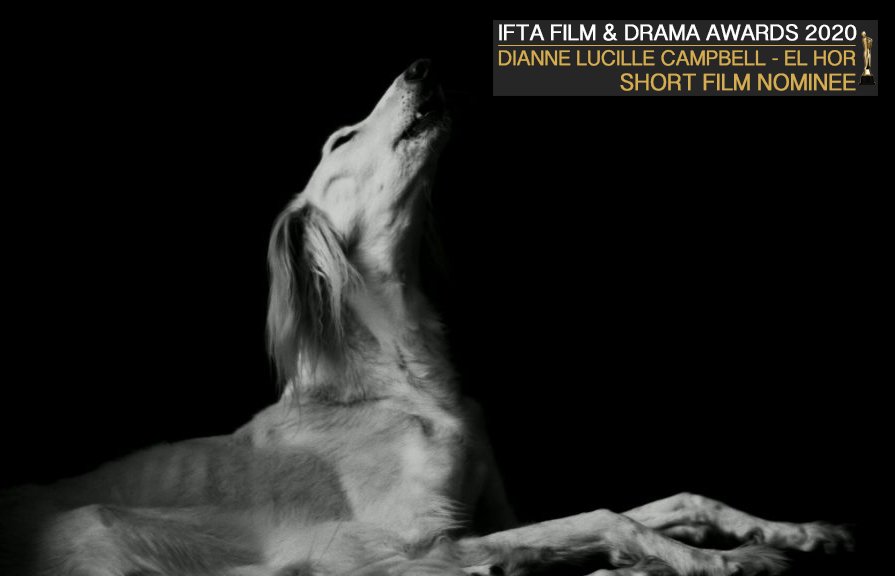 ooofilms's tweet photo. Congratulations to @Die_Hexen for her @IFTA Nomination for Best Short Film @ELHORFILM https://t.co/I9so8Uokny