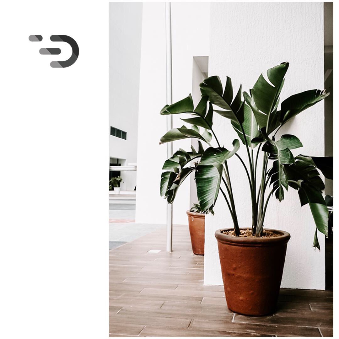 Houseware_Team's tweet photo. https://t.co/WNXp1RYsxH