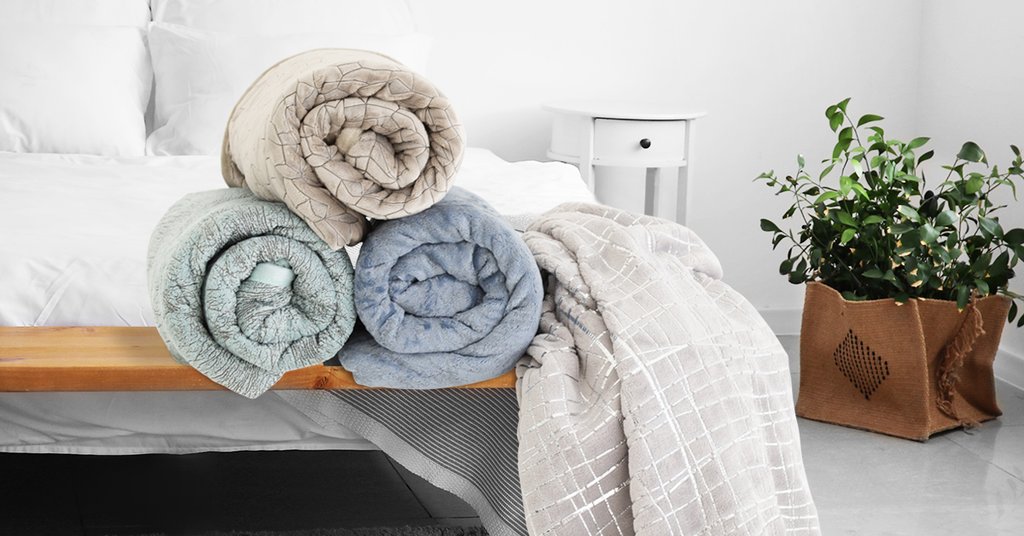 Sesliblankets's tweet photo. Stay warm in style! Our stylish Plush Throws are cozy and cuter than ever😍 Shop online for online R359: https://t.co/3vdTK03zgU
#SesliTextiles #PlushThrows https://t.co/AyqSYQnAW8