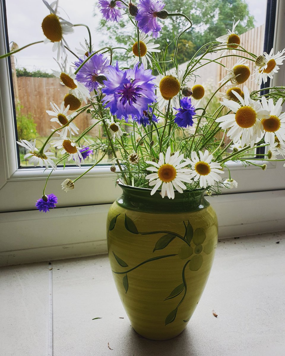 deepa_sena's tweet photo. Flowers from my garden. Some sown, some wild but all gorgeous #cornflowers #mayweed #itsnotaweedifyouloveit #simplejoys https://t.co/300Zz7jJ1b