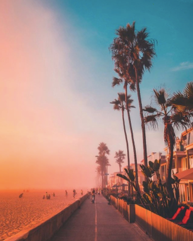 Rise &amp; RUN! 🌴

Last weekend of July... let's make it the best ever! 

📷 <a href="/eric_scire/">eric scire </a> (prints available online) 
.
.
.
.
#sandiego
#missionbeach
#womensrunningcommunity
#beachrun
#runningdoesntsuck
#summerdoesntsuck
#oceanismytherapy
#fitspo
#runnergirl
#runner
#running
#mile