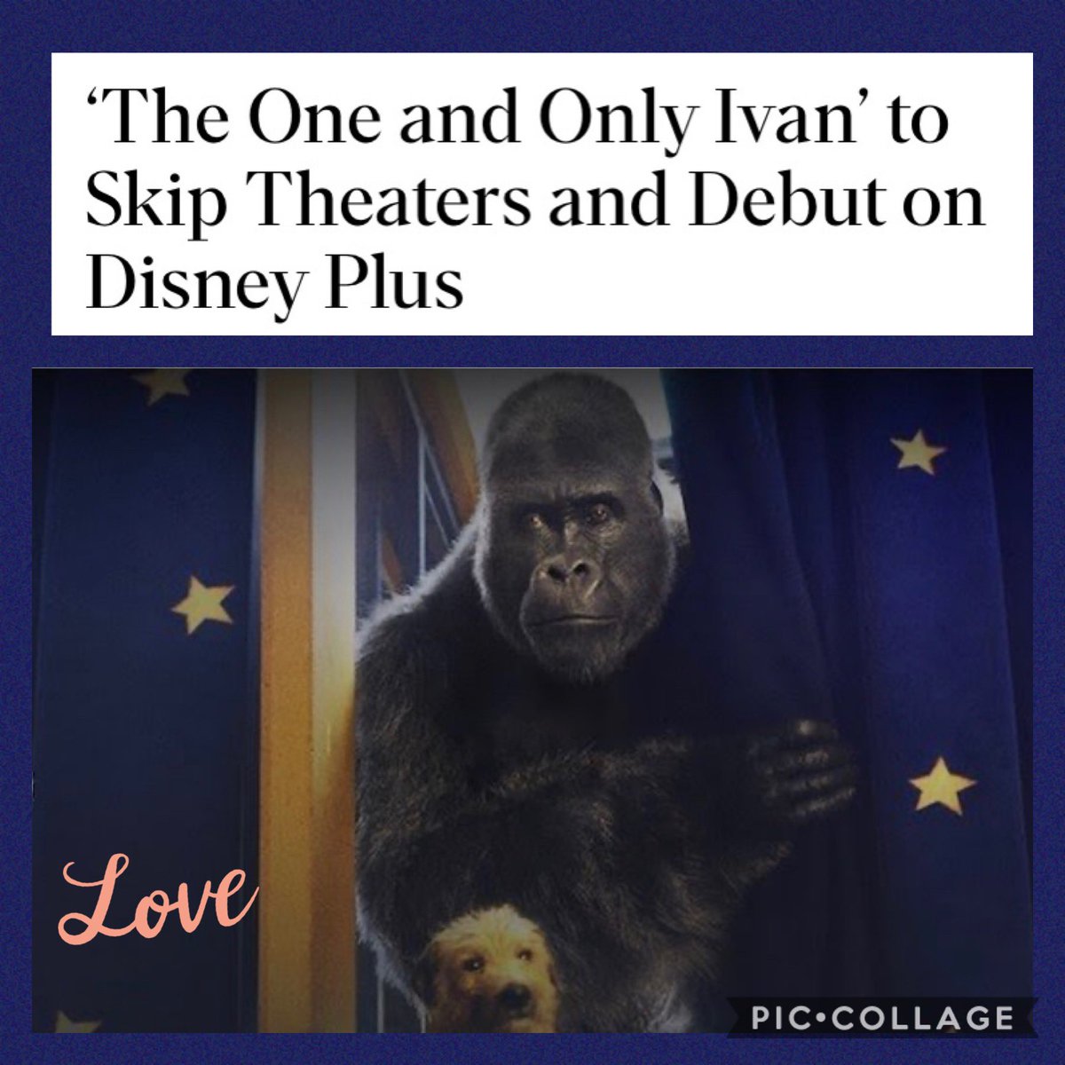 HoppSchool2's tweet photo. So excited to watch this. One of my favorite books is coming out on Disney Plus next month! #readytowatch @ErinMarieMarone https://t.co/D64NUJNTpW