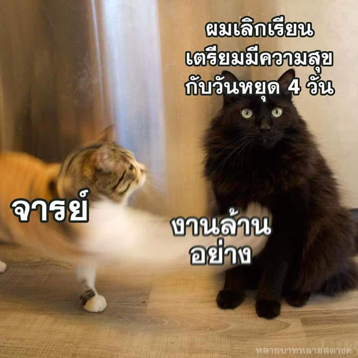2softfail_'s tweet photo. ;-; https://t.co/tax9Q61SAl
