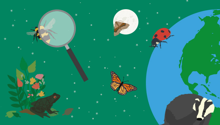 NatProducts's tweet photo. Tune in to Nature with Pukka Herbs and the Natural History Museum @Pukkaherbs @NHM_London #tuneintonature #biodiversity #digitalactivities #familyfestival #nature #plants #pollinators #quiz #socialmedia #virtualfestival #workshops https://t.co/lrOKwEiGYz https://t.co/tQHoqL74Bd