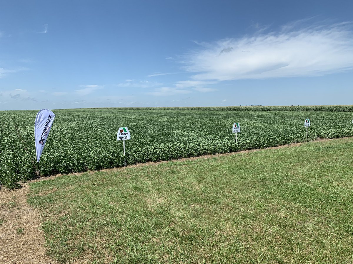 JMann_5's tweet photo. Excited to see what this lineup of XtendFlex Soybeans near Little Rock, Iowa will do come fall! #XFsoy #ExpectedSoon @DKAS_Iowa @Asgrow_DEKALB @jfmcde https://t.co/tRTjV05Pwo