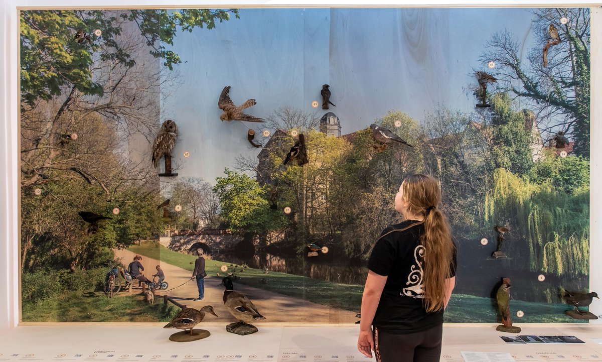 Schloss Köthen (@schlosskoethen) on Twitter photo 