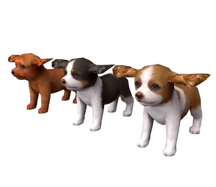 puppymarten's tweet photo. nintendogs t-pose https://t.co/rOAMQV9LjJ