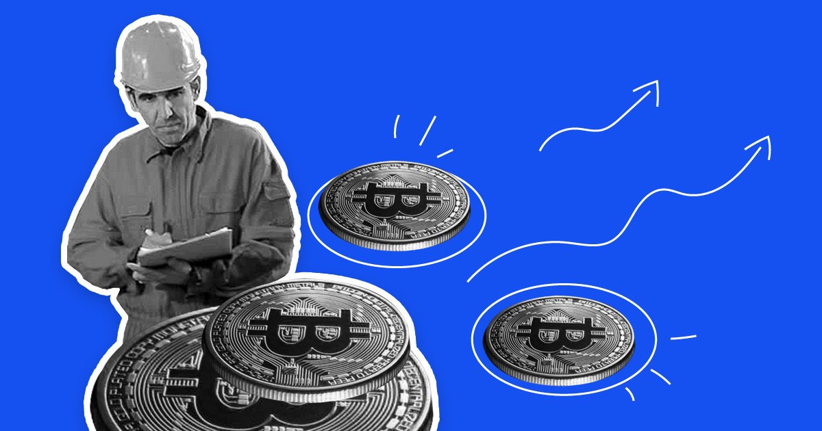 Anastasiia ₿ tweet media