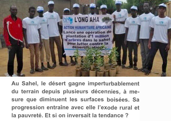 ong_aha's tweet photo. Selon l'ONG AHA, il faut recréer une nouvelle forêt et l’étendre, en la faisant courir, telle une grande coulée verte, au travers de tout le continent #africain. https://t.co/JvRraH7EZF
