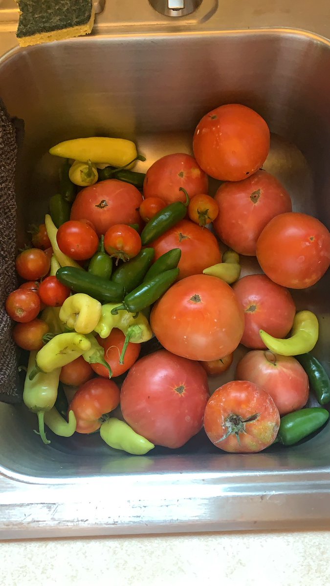 MattGWMIZ's tweet photo. This morning’s haul https://t.co/iShH9f2PNx