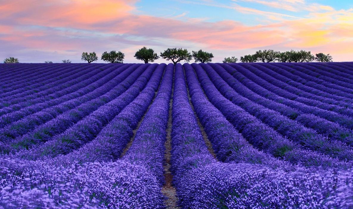 lifefrance's tweet photo. We're up to L in the A-Z of France! A lot of lovely choices ;) What's your favourite French place beginning with L? 
Pics: fabulous La Rochelle, lush Luberon (Provence), mysterious Larressingle (Gers), Le Havre, stunning even on a stormy day (Normandy)... https://t.co/StlcaFzoMf