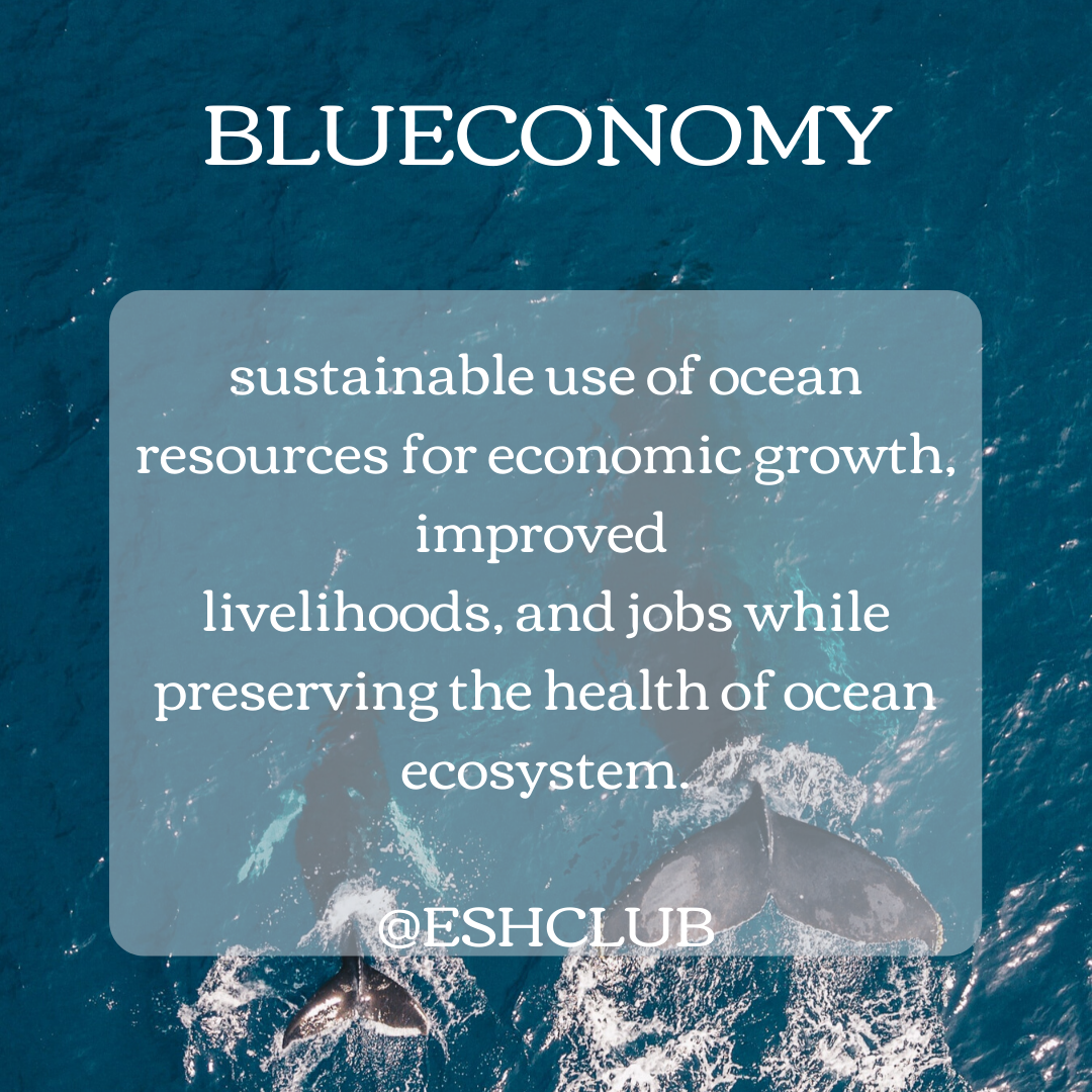 ESHClub's tweet photo. What does your company do for the ocean?🌊
#blueconomy #ecosystem #sustainabletourism #sustainability #sustainabledefinition #biodiversity #ecosystem #healthocean #ethicaltourism #bioconcept #biolife https://t.co/is5BuQTXx7