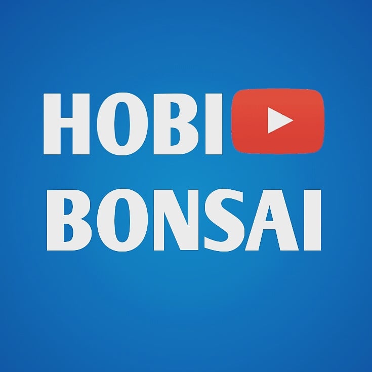 HobiBonsai's tweet photo. #hobibonsai https://t.co/munhdWGZAa