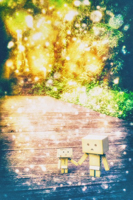 ダンボー写真のtwitterイラスト検索結果