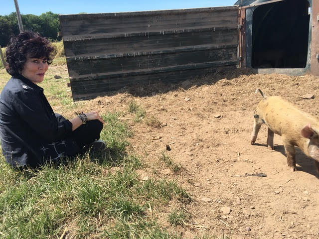 Rubywax's tweet photo. How are you doing? I'm really interested to know how you have tried to support your mental health recently - what has worked and what hasn't been quite so successful.  What would you recommend to others reading the comments? https://t.co/Jdbyq8LROW