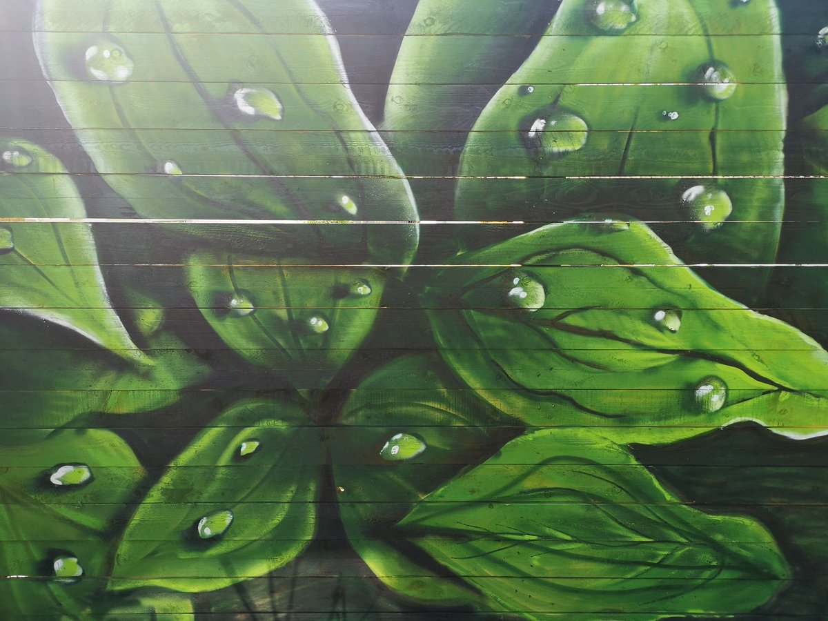 Liz fergus (@fergusliz) on Twitter photo 