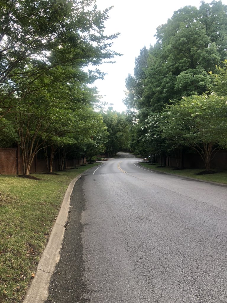 mymello74's tweet photo. Felt so good to start the day with a morning walk! https://t.co/TPa1GL53QZ