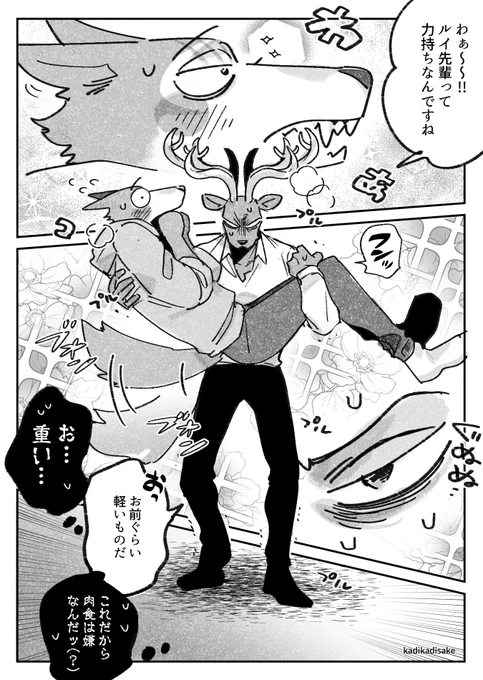 お姫様抱っこのルイレゴ?? 
